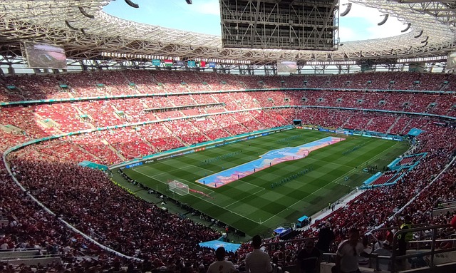 他们不仅拥 他们不仅拥