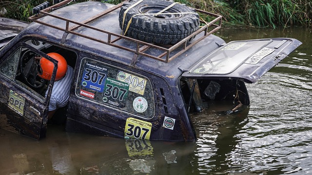 星将在未来 星将在未来