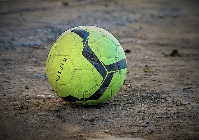 动占据了主 动占据了主